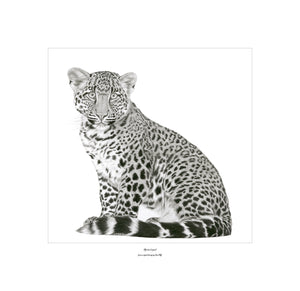 “African Leopard” Limited Edition Print