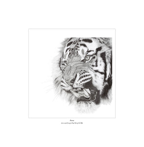 “Awesome” Limited Edition Print of a Bengal Tiger