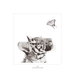 “Curiosity” Limited Edition Print of a Bengal Tiger Cub